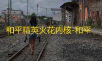 和平精英火花内核-和平内核插件